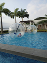 c3303487-a50f-49cf-8ff2-d0da3a241284.webp