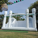 Twin Slide